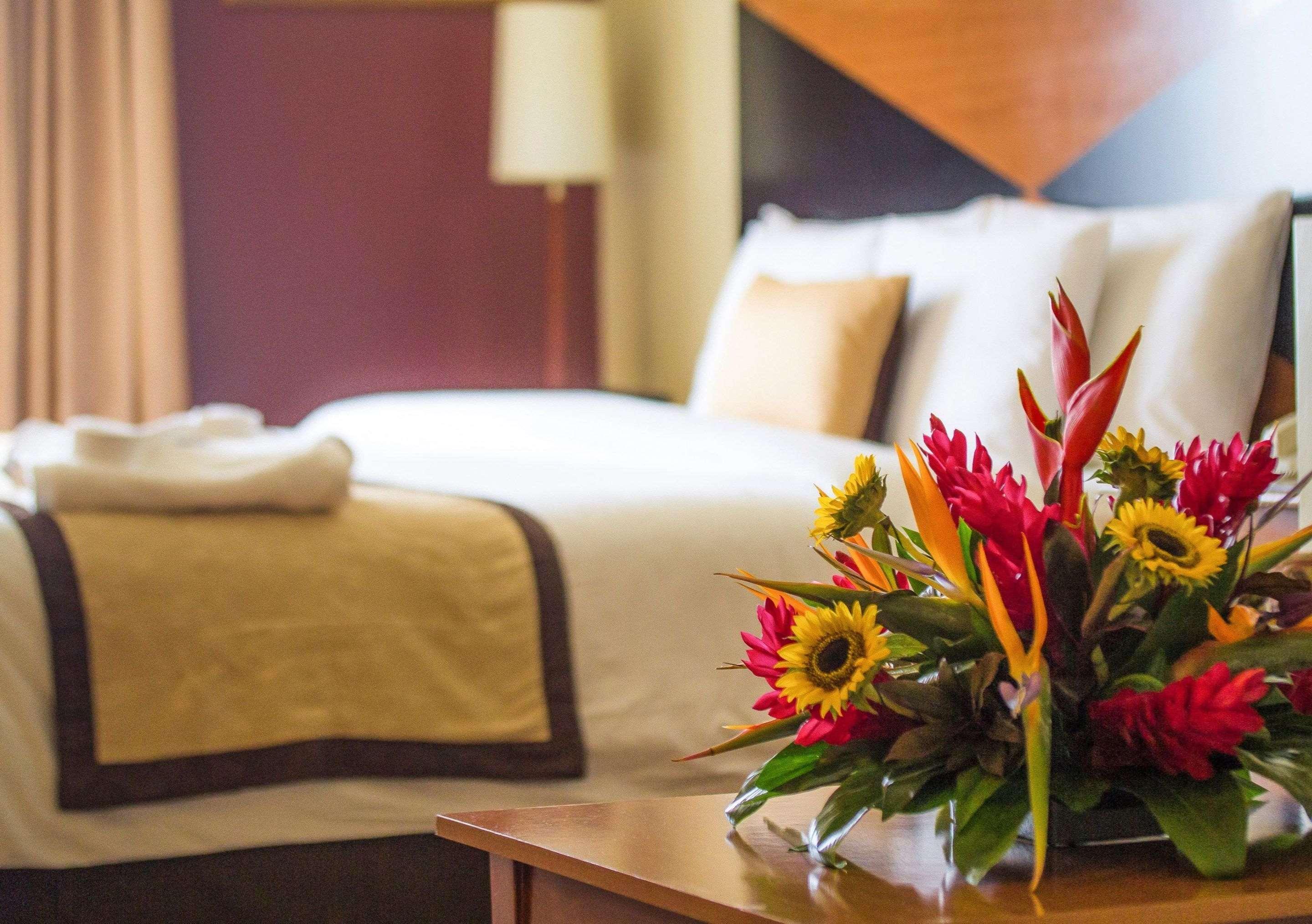 Sleep Inn Paseo Las Damas San José Zewnętrze zdjęcie